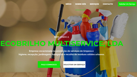 Imgem do site echobrilho